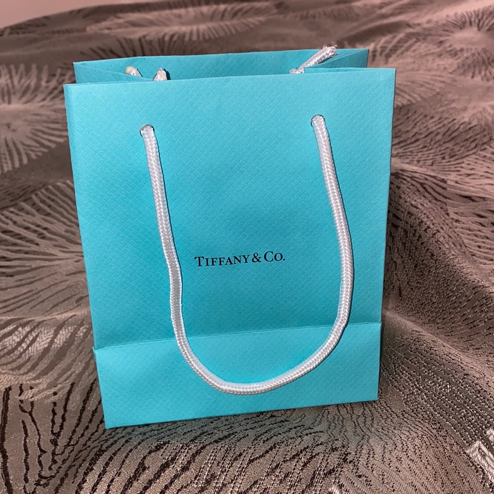 Tiffany & Co Small Shopping Bag
